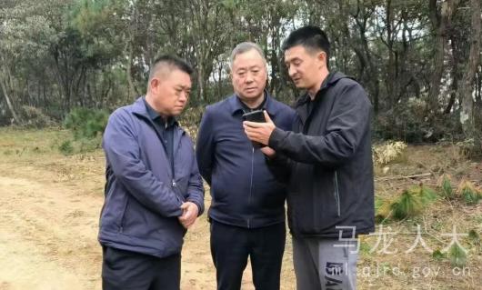 QQ20251114-162652.jpg QQ20251114-162652.jpg