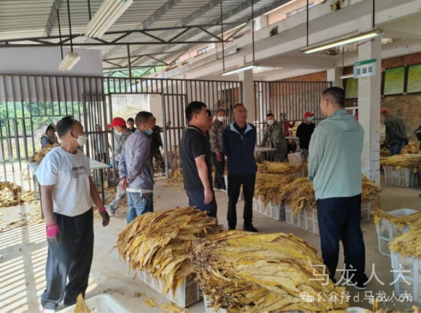 QQ20250826-094229_副本.jpg