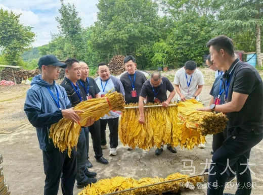 QQ20250826-094538_副本.jpg QQ20250826-094538_副本.jpg