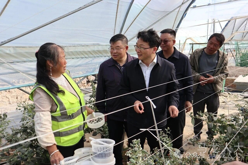 微信图片_2026-04-07_111016_208_副本.jpg 微信图片_2026-04-07_111016_208_副本.jpg