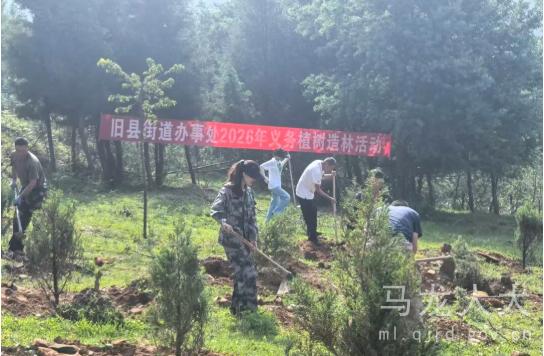 QQ20260804-164330.jpg